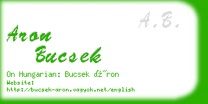 aron bucsek business card